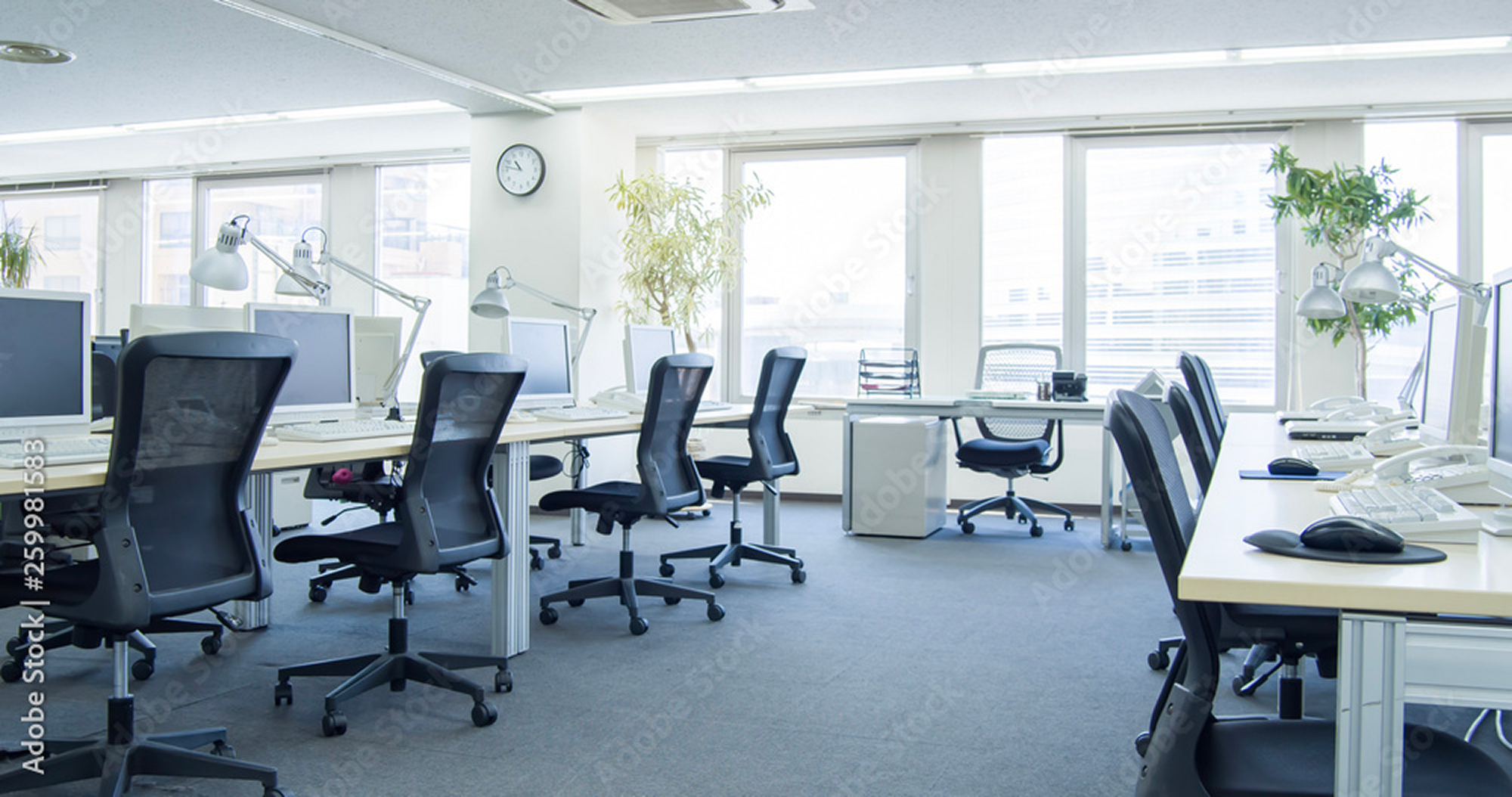 会社情報 トップ